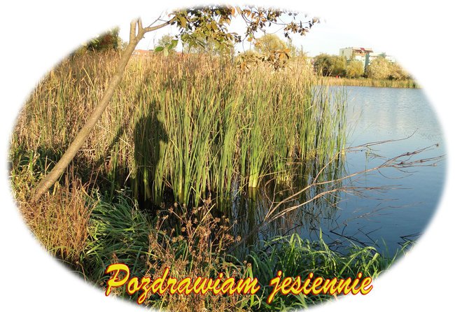 Jesienne pozdrowienia.