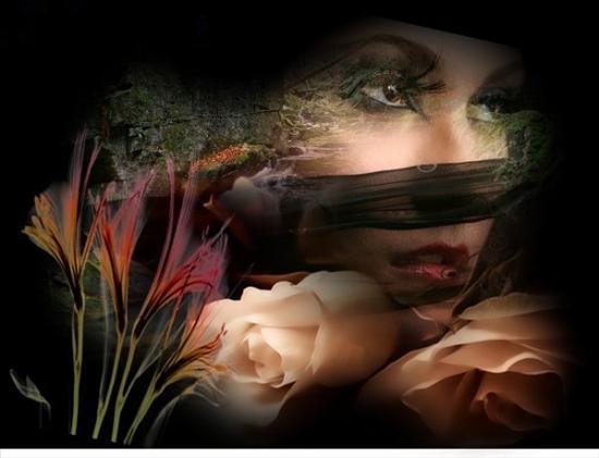 Diese Nacht soll nie enden.....