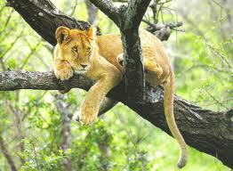 my dziewczyny zgrana paka