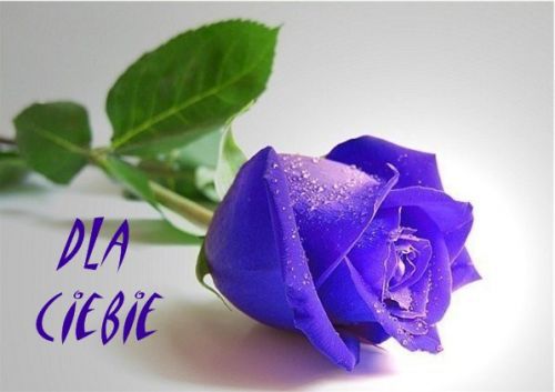 DLA CIEBIE PRZYJACIELU....