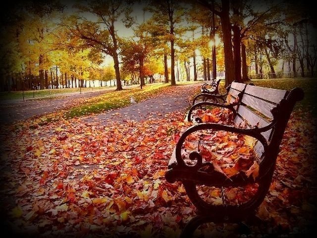 Jesienne wspomnienia