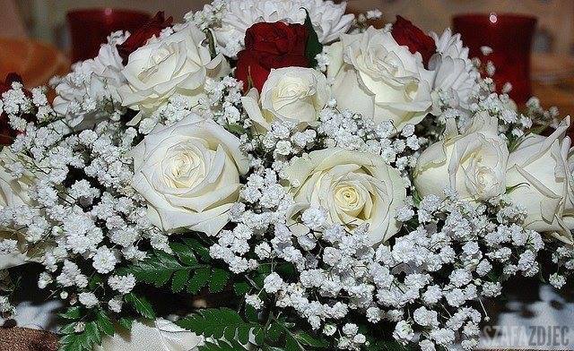 10 rocznica slubu KASI I DARKA...