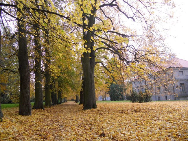 Jesień idzie przez park...