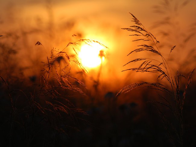 KRUSZYNKA JAK ANIOŁEK :) :) :)