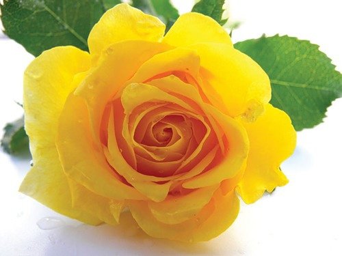 witam mojch przyjaciol.