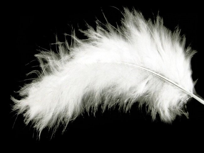 Opowieści Morfeusza :