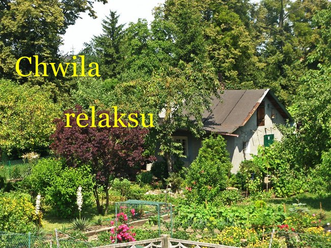 CHWILA RELAKSU