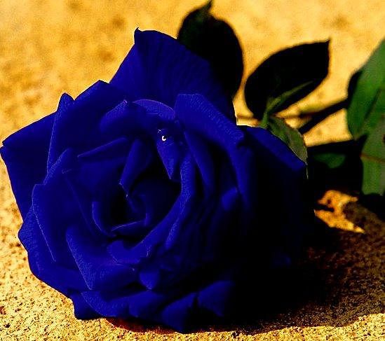 Pozdrawiam i dziękuje*