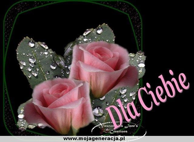 Dla Danusi,ktora jest mi bardzo bliska sercu