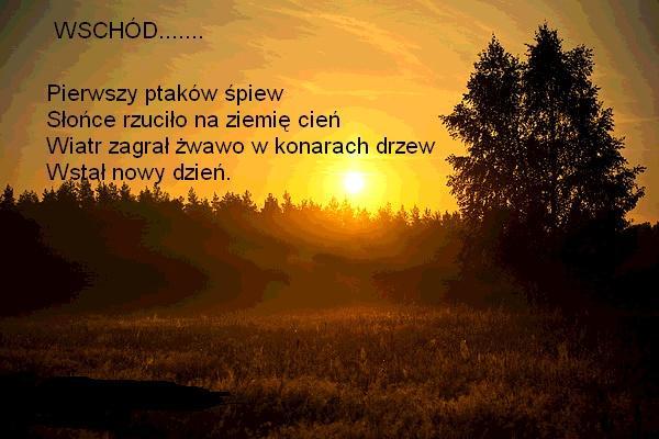 WSCHÓD  I   ZACHÓD