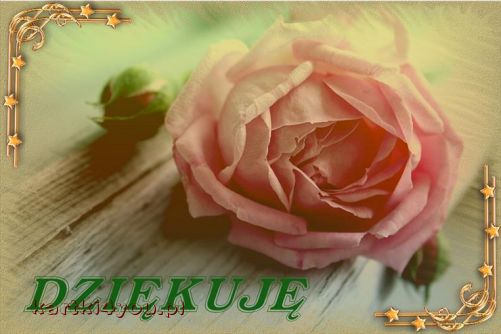 dla moich przyjaciół z naszej klasy których mam na swoim profilu