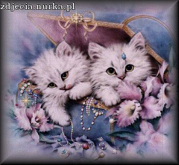 Ciesz się każdym dniem*