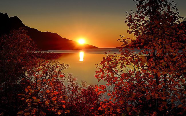 .POZDRAWIAM,UŚMIECH I BUZIAKI ZOSTAWIAM:))) ALICJA BEM-MYRCIK:))))