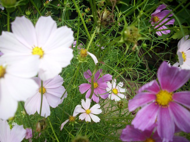 WCZASY W CHORWACJI  ROK 2012 i  2013