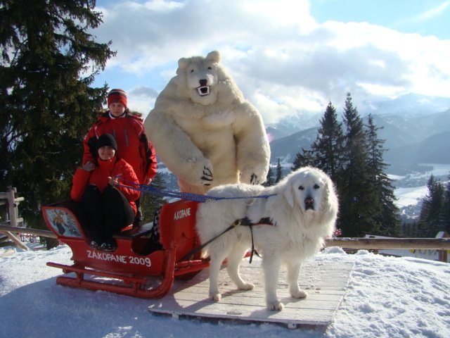 My jestesmy w Zakopanem