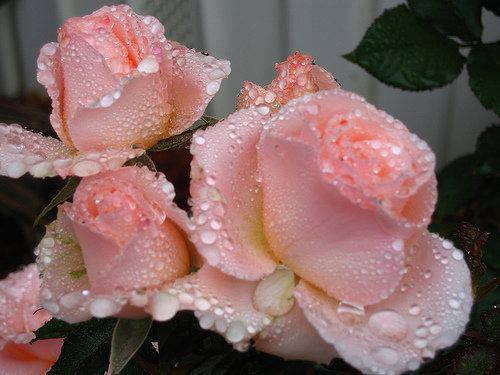 na dobry początek dnia