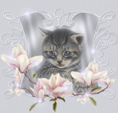 Najlepsze Życzenia z okazji  3 urodzin