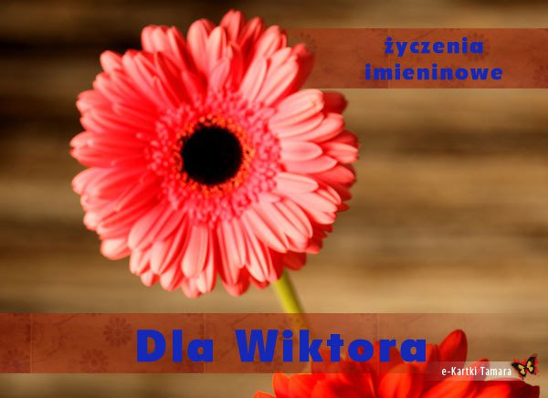 Z OKAZJI IMIENIN WIKTORA...