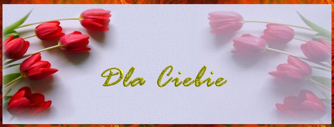 Dla przyjaciółki Lili !