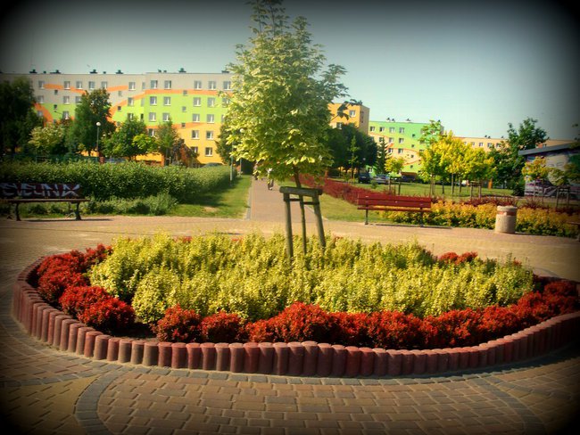 TU JEST MOJE MIEJSCE