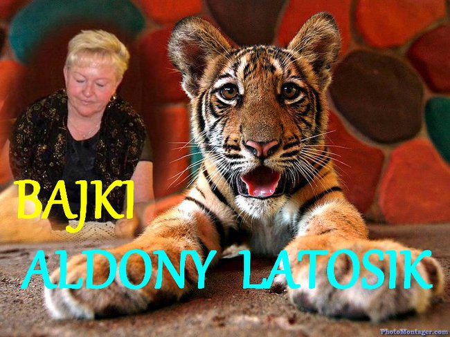 BAJKI  ALDONY  LATOSIK