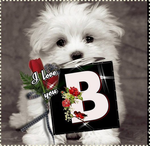 troche wspomnien dla was Od Basi