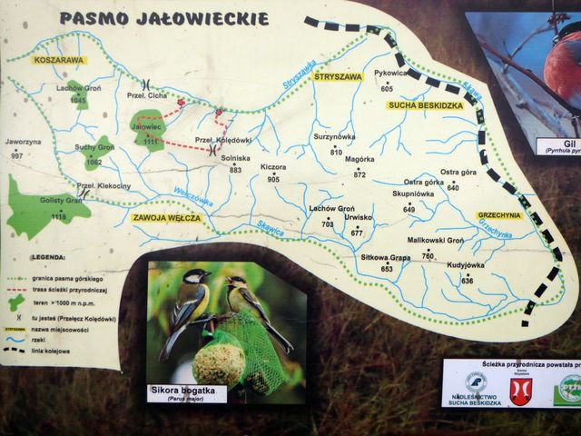 Beskidzkie Impresje - 1