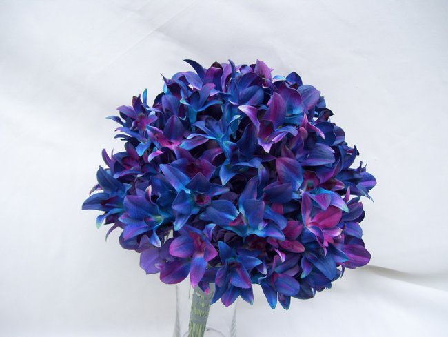 KOMUNIA ŚWIĘTA MARCINKA