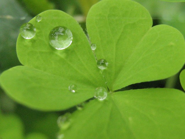 To co dobre to co lepsze...