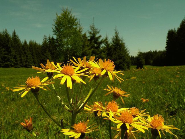 A mnie jest szkoda lata