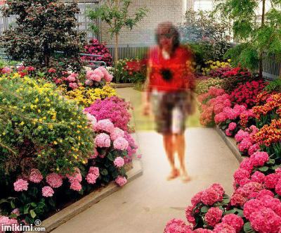 DLA MOICH PRZYJACIOL