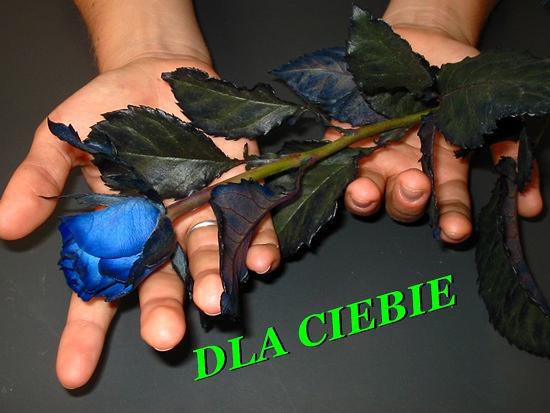 Dla Ciebie