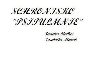 Wolontariat Zabrze 2013