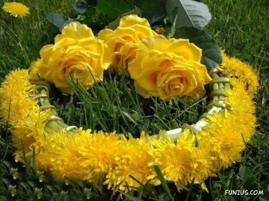 DJA MOICH PRZYJACIOL..