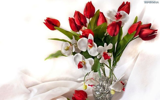 Dla Ciebie  Skarbie...