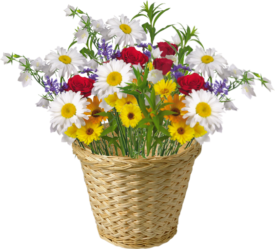 Dla Ciebie od Natalii na dzień dobry:)