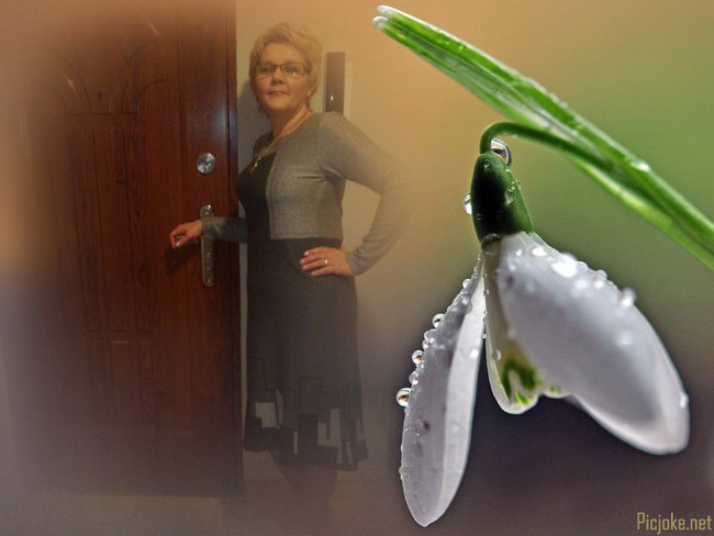 Księżniczka Calineczka