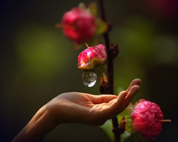 Dla Przyjacioł z Netloga:)