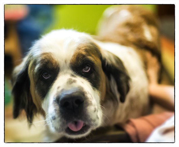 WSPOMNIENIA II  2013