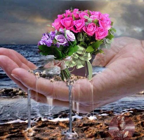 Milych Snow Wszystkim zycze ....