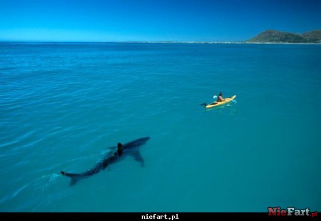 natura fantazja miłosc