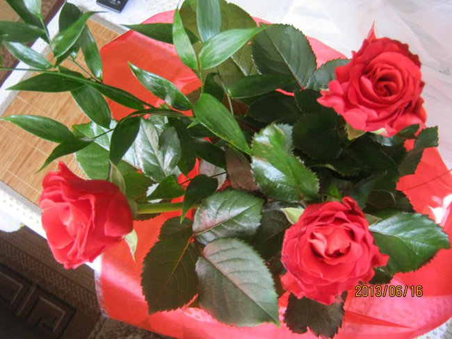 DLA WSPANIAŁYCH PRZYJACIÓŁ