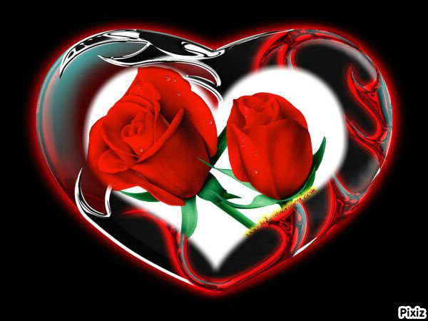 DLA   CIEBIE  ;;;;;;;  POZDRAWIAM  SERDECZNIE  ::: BUZIAKI