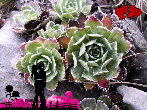 Bardzo Cię Kocham Skarbie :* Już Na Zawsze Razem