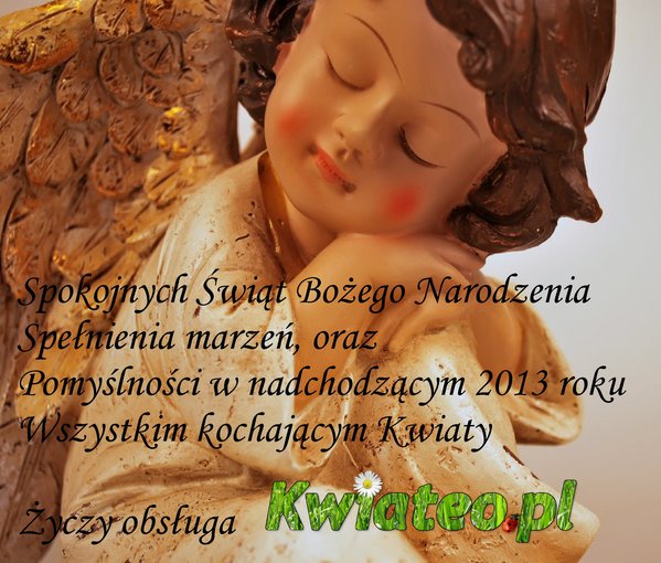 Życzenia Świąteczno - Noworoczne