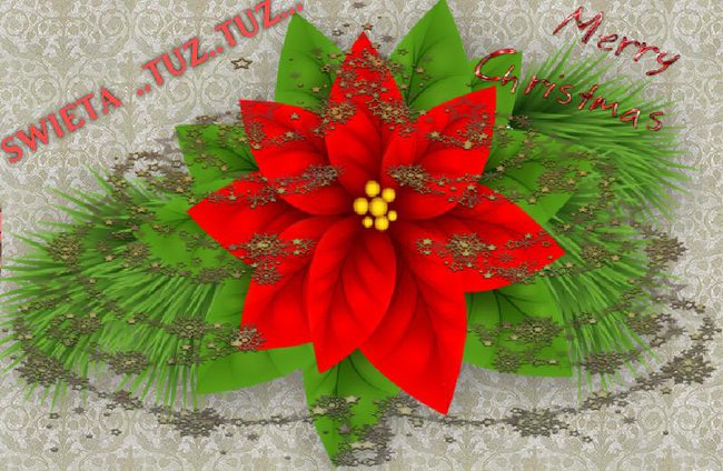 ŻYCZENIA ŚWIĄTECZNE