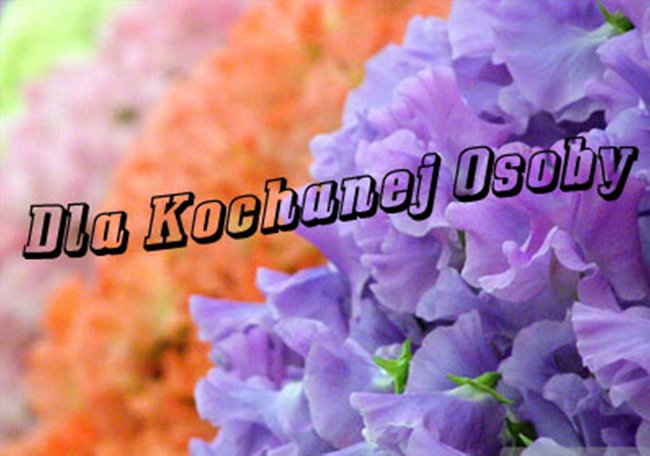 NA URODZINKI DLA MOJEJ KRYSTYNKI