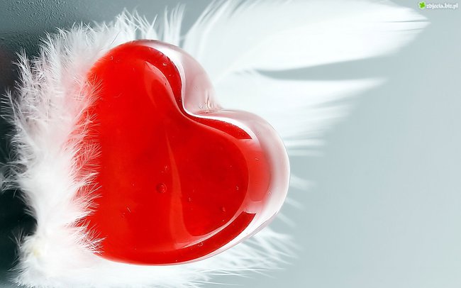 Zabiorę cię   właśnie  tam...