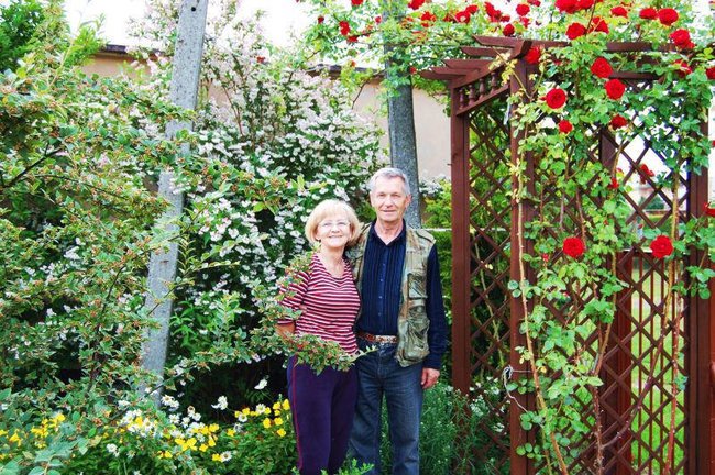 SZCZĘŚLIWEGO  NOWEGO ROKU TERENIU...