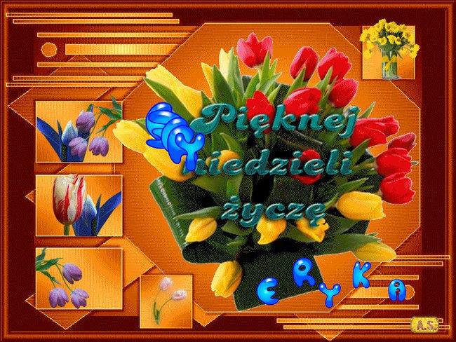 UDANEJ NIEDZIELI!!!!!!!!!!!!!!!!!!!